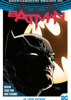 Batman 1 - Já jsem Gotham - Tom King